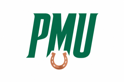 PMU